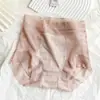 Panty de Encaje para Mujer de Cintura Media-Alta, Sin Costuras, Transpirable, Tallas Grandes, Control de Abdomen, Antibacteriano 7A, Refuerzo de Seda, Braguita Triangular de Puro Deseo para Verano