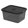 Caja de Almacenamiento Transparente Portátil para Uso Doméstico, Caja de Almacenamiento para Juguetes y Snacks, Contenedor de Almacenamiento de Plástico, Organizador de Herramientas y Misceláneos, Organizador de Maletero