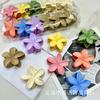 Venda quente transfronteiriça 8 CM série de cores fosco tinta de borracha ovo flor temperamento grande bauhinia volta cabeça clipe