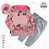 Comercio Exterior Ropa Infantil Primavera y Otoño Conjunto Infantil de Dos Piezas Material Sudadera Sudadera con Capucha Ropa Infantil para Bebés Ropa de Salida [Al por Mayor]