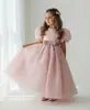 Venta al por mayor de vestidos formales para niños para exportación y ventas transfronterizas: Vestidos de princesa de cuello redondo y manga abullonada para niñas pequeñas, adecuados para fiestas, cumpleaños y actuaciones.