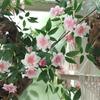 Trepadeiras de Rosa Artificiais, Trepadeiras de Rosa para Subir, Trepadeiras para Pendurar na Parede, Decoração de Janela, Decoração de Casa, Tela de Privacidade, Trepadeiras Floridas com Cheiro de Madeira, Plantas Verdes