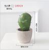 Planta em Vaso Cacto Estilo Nórdico Planta Verde Sala de Estar Decoração de Casa Cacto Bola Folha de Tartaruga Flor Artificial Planta de Simulação