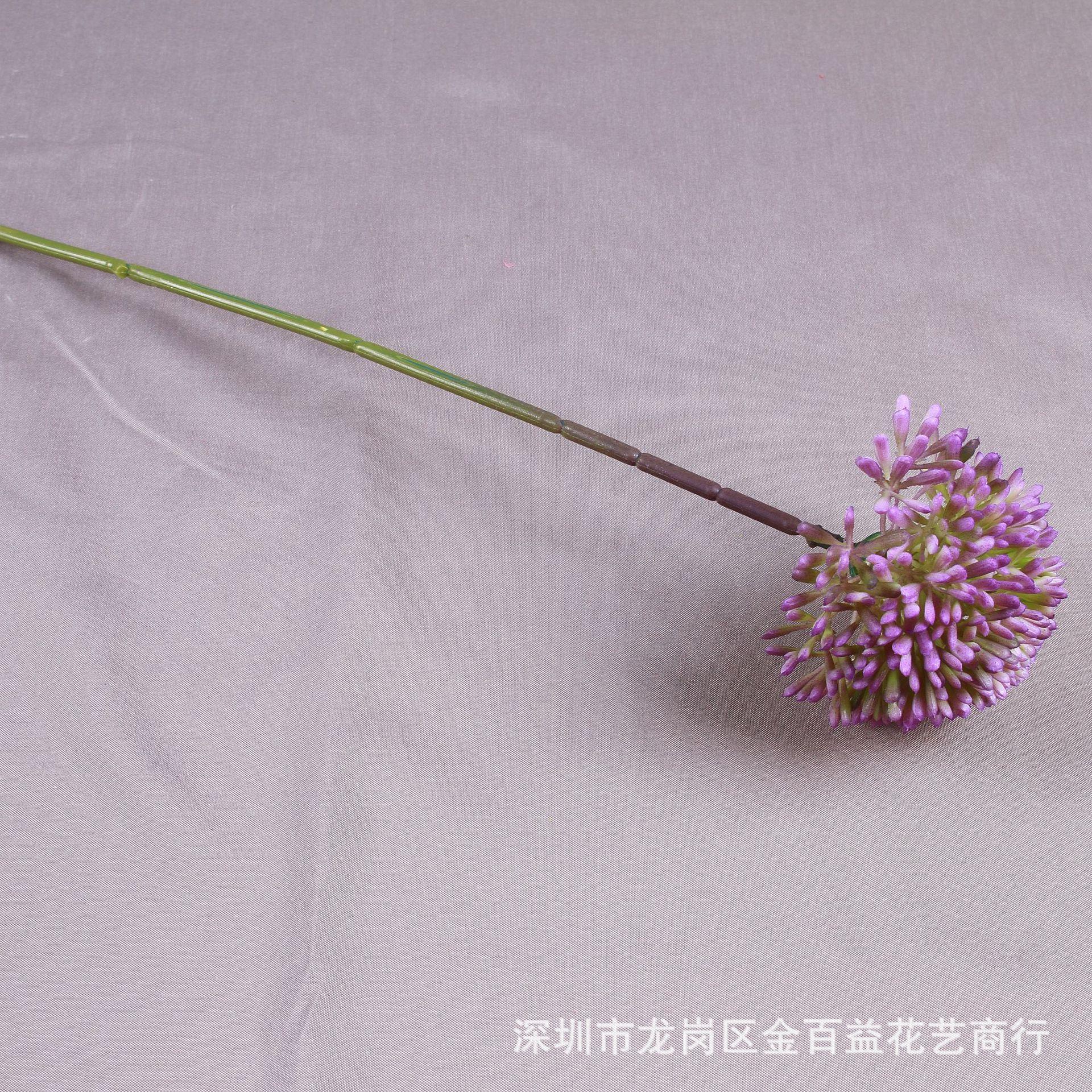 IMG_8594_副本.jpg