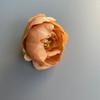 Grampos de Cabelo com Flores Artesanais, Cabeças de Flores de Rosa Falsas, Flores Artificiais, Kits de Material para DIY, Grampos de Cabelo Flor Única de Tecido de Seda Atacado Transfronteiriço