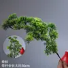 Galhos Artificiais de Pinheiro, Agulhas de Pinheiro, Cipreste Falso, Belos Galhos de Pinheiro, Folhas de Pinheiro, Pinheiro Negro, Galhos de Tuia, Planta de Boas-Vindas