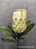 Impresión 3D de Simulación Longevidad Fruta Planta Tropical Flor Imperial Flor de Princesa de Sudáfrica Decoración de Boda Decoración del Hogar