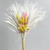 Ramo de Flores Secas, Hierba de la Pampa Más Vendida de Amazon, Juncia, Gypsophila, Flores Secas Serie Rosa, Regalo para el Día de San Valentín Chino y Navidad