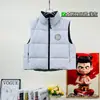 Colete de penugem de ganso transfronteiriço para outono e inverno, com gola alta, comprimento curto, design unissex, modelagem solta, versátil, sem mangas e disponível em várias cores para sobreposição