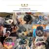 Accesorios para Mascotas, Gafas para Perros, Cascos para Motocicleta, Gafas de Sol para Viajar en Coche, Gafas a Prueba de Viento