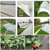 Manta de protección contra heladas invernales para plantas de Amazon transfronteriza, tela cubierta protectora contra heladas para plantas, manta cubierta de tela no tejida blanca de 30g