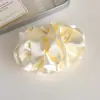 Presilha Banana Plissada em Cetim Estilo Francês para Mulheres, Presilha Torção de Cabelo para a Nuca, Novo Modelo 2026, Elegante Acessório de Cabelo Vertical