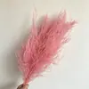 Atacado de Grama Eterna do Fabricante para Casamento e Decoração de Casa DIY Materiais Florais, Grama de Cabelo Longo para Flores de Arte Penduradas