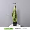 Planta Verde Simulada Planta Pequeña en Maceta Soportes Personalizados Orquídea Tigre, Agave, Hoja de Nido de Pájaro, Hoja de Dinero, Cícada Sisal