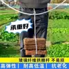 Suporte de Arco de Shed em PRFV Anticongelante Neve Campo de Vegetais Proteção Solar Estrutura de Estufa Venda por Atacado Viveiro Sólido de Mudas Jardim de Flores Galpão de Plantio de Gengibre Poste