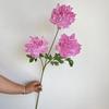 Peônia Coral 3 Cabeças Flor de Peônia Salão de Casamento Teto Destaque Estrada Guia Vaso Decorativo Exibição de Flores Estoque Disponível