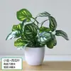 Hogar Sala de Estar Flores Artificiales Clavel de Simulación Flores Decorativas Ramo Flores de Seda Flores de Plástico Set de Bonsái Adornos Gipsófila