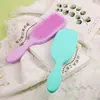 Novo Pente Massageador de Cabelo Liso Transfronteiriço Huiyun Macaron Amazon Sem Nós Couro Cabeludo Simples Cabo Longo Pente Tt