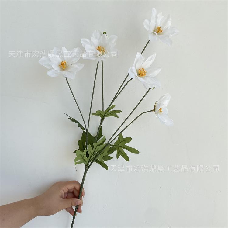 微信图片_202208311711004