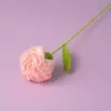 Día de la Enfermera Transfronteriza y Día de la Madre Ramo de Flores de Hilo de Clavel Tejido a Crochet para Amigas, Mejores Amigas y Voluntarios