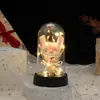 Rosas Eternas Transfronteiriças, Presentes de Flores Artificiais Cobertos com Vidro, Decoração Criativa para Mesa, Enfeites Luminosos Atacado, Romântico