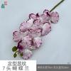 Padrão de modelagem 7 cabeça Phalaenopsis cola sentir Phalaenopsis estúdio fotográfico adereços flor de simulação janela bonita Chen