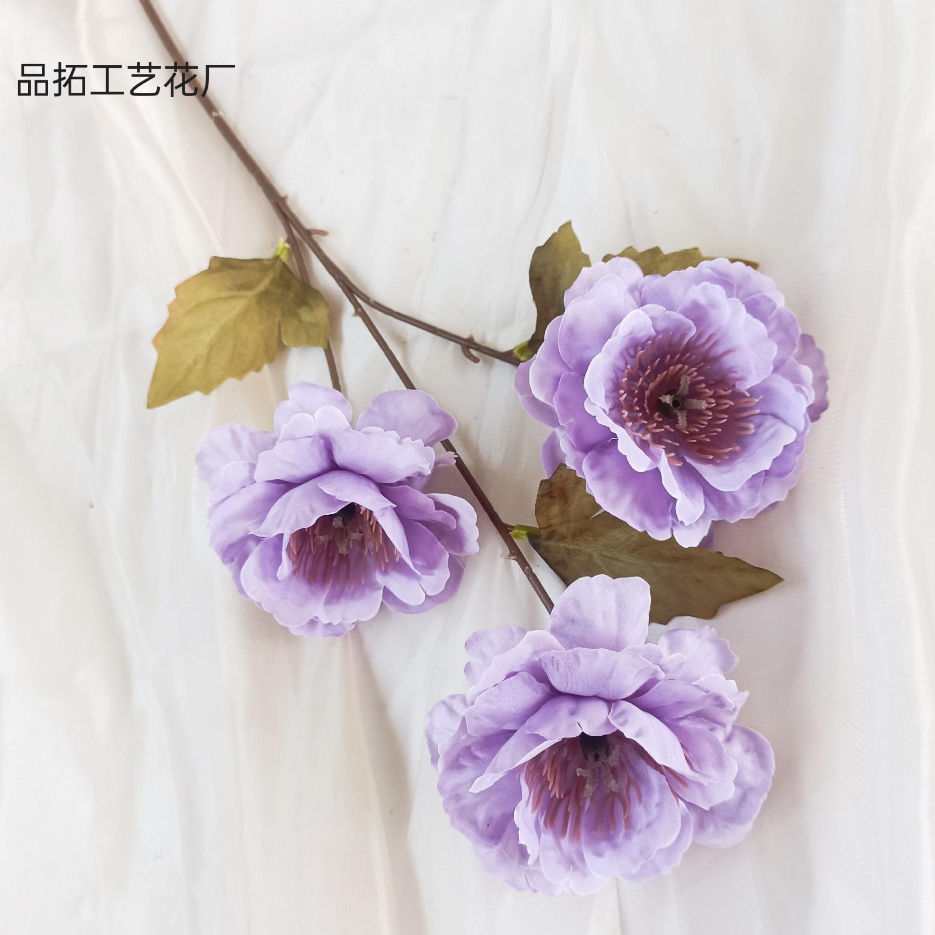 7c0ae93e5134c89a1b714a60a77bbd
