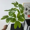 Hojas de la Fortuna Simuladas, Paisajismo de Jardines, Macetas de Flores Artificiales, Decoración de Sala de Estar, Plantas Verdes, Árboles de la Fortuna de Interior, Florales Creativos al por Mayor