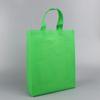 Bolsa no tejida de celebridad de internet publicidad médica protección del medio ambiente institución de capacitación bolsa tridimensional portátil venta al por mayor logo imprimible