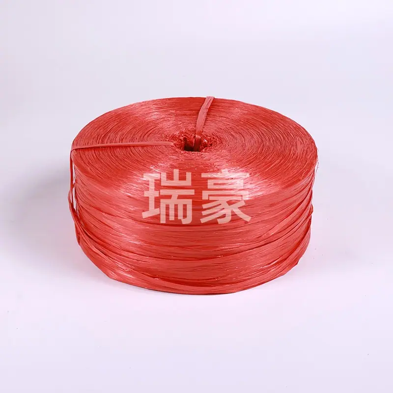 3T0A5448.JPG