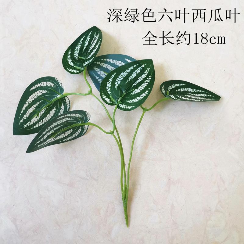 2023.2.3下午【深绿色六叶西瓜叶】.jpg