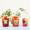 Barril de chá de frutas copo de chá 1000ml barril de chá de leite portátil um barril de chá de frutas líquido vermelho comercial 1 litro barril overlord