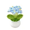 Producto Terminado: Flores Artificiales de Nomeolvides Tejidas a Crochet Puras Hechas a Mano, Flores de Hilo de Crochet Hechas por Uno Mismo, Regalo de San Valentín, Regalo de Cumpleaños, Regalo de Graduación