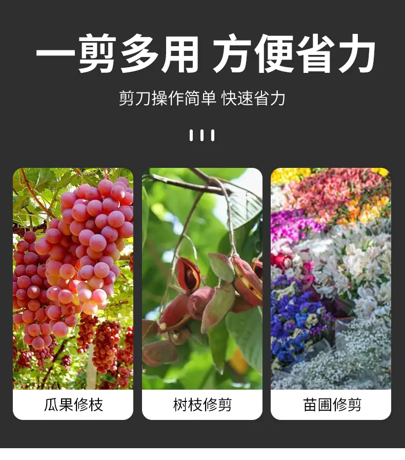 修枝剪_04.jpg