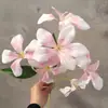 Arreglo Floral Artificial de Orquídea Llama y Glicinia 3D para Área de Bienvenida Decoración de Pared de Fondo Flores de Seda Guía de Escenario Flores Artificiales Transfronterizo