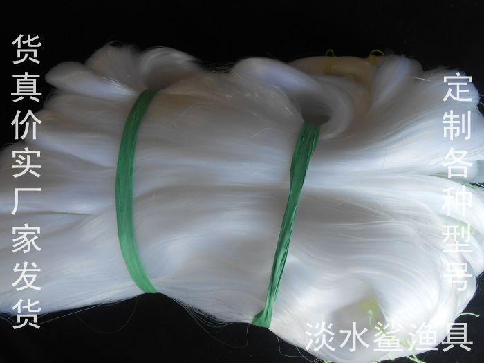 照片 244