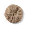 Cachemira Otoño/Invierno 2026 Nuevo Sombrero de Punto de Alta Gama para Mujer con Protección para las Orejas Cálido para Exteriores Boina de Punto Casual de Moda