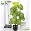 Bonsái de Planta Verde Simulada, Decoración de Exhibición de Ventana de Lujo de Alta Gama, Adorno de Pie para Sala de Estar Interior, Plantas de Plástico Tropicales