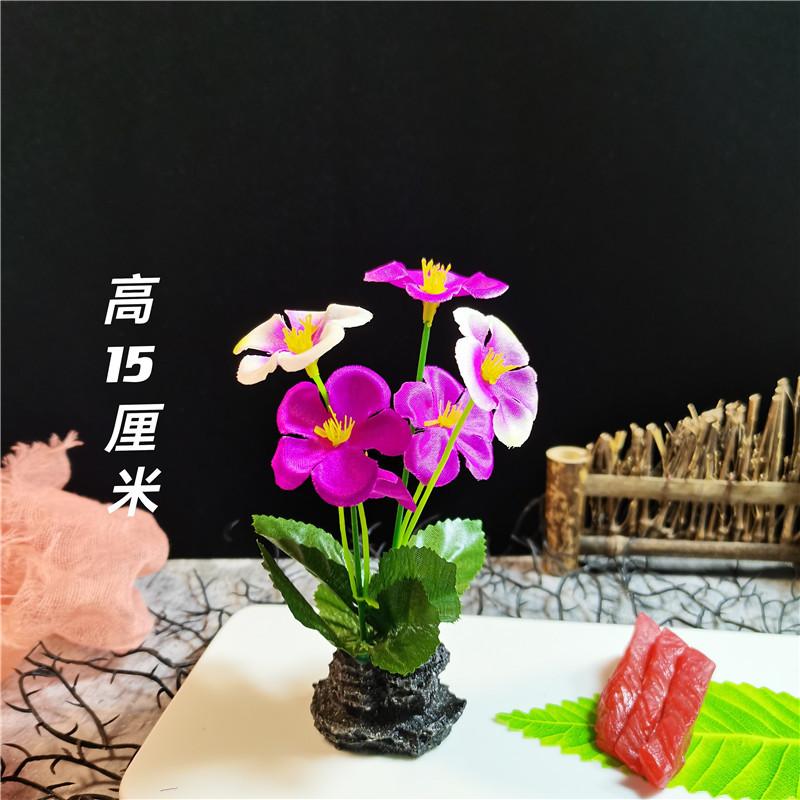 QQ图片20210817123128