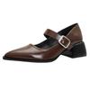 Sapatos Pointy Franceses Femininos 2025 Primavera Novos Elegantes Pretos Salto Grosso com Mary Jane Simples Versátil Sapato de Camada Única