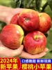 Yunnan Zhaotong Ciudad Caramelo de Roca Corazón Manzana Fea 2001 Fresca Caja Entera Recogida Frescamente Enviada Regalo Naturalmente Madura China