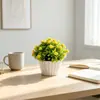 Modelo Nuevo 31 Piezas Orquídea Artificial Rosa Hemisferio Bonsái Decoración del Hogar Arreglo de Flores Artificiales Flor de Simulación de Plástico Planta Verde Planta en Maceta