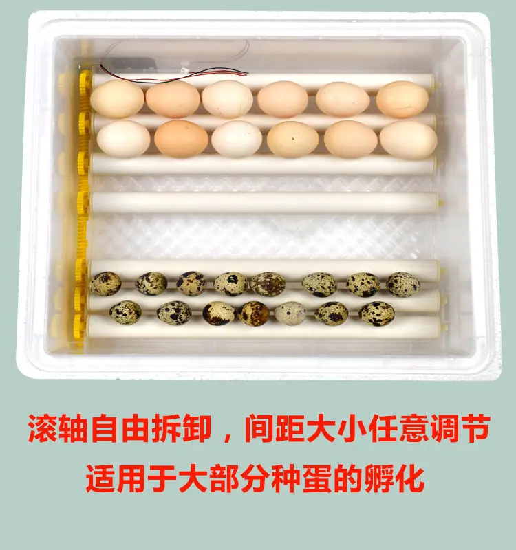 未标题-11