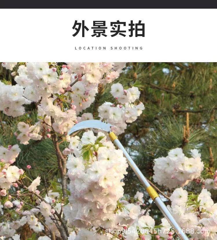 微信图片_202207150827318.jpg