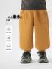 Calça Esportiva Casual Forrada com Fleece para Meninos Calça de Moletom Quente Roupa de Inverno 2026 Nova Roupa Infantil para Outono e Inverno