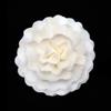 Múltiplas Opções de Flores de Palha Perfumadas para Decoração de Casa, Flores Secas Que Podem Ser Tingidas e Furadas para Inserção, em Estoque para Dropshipping