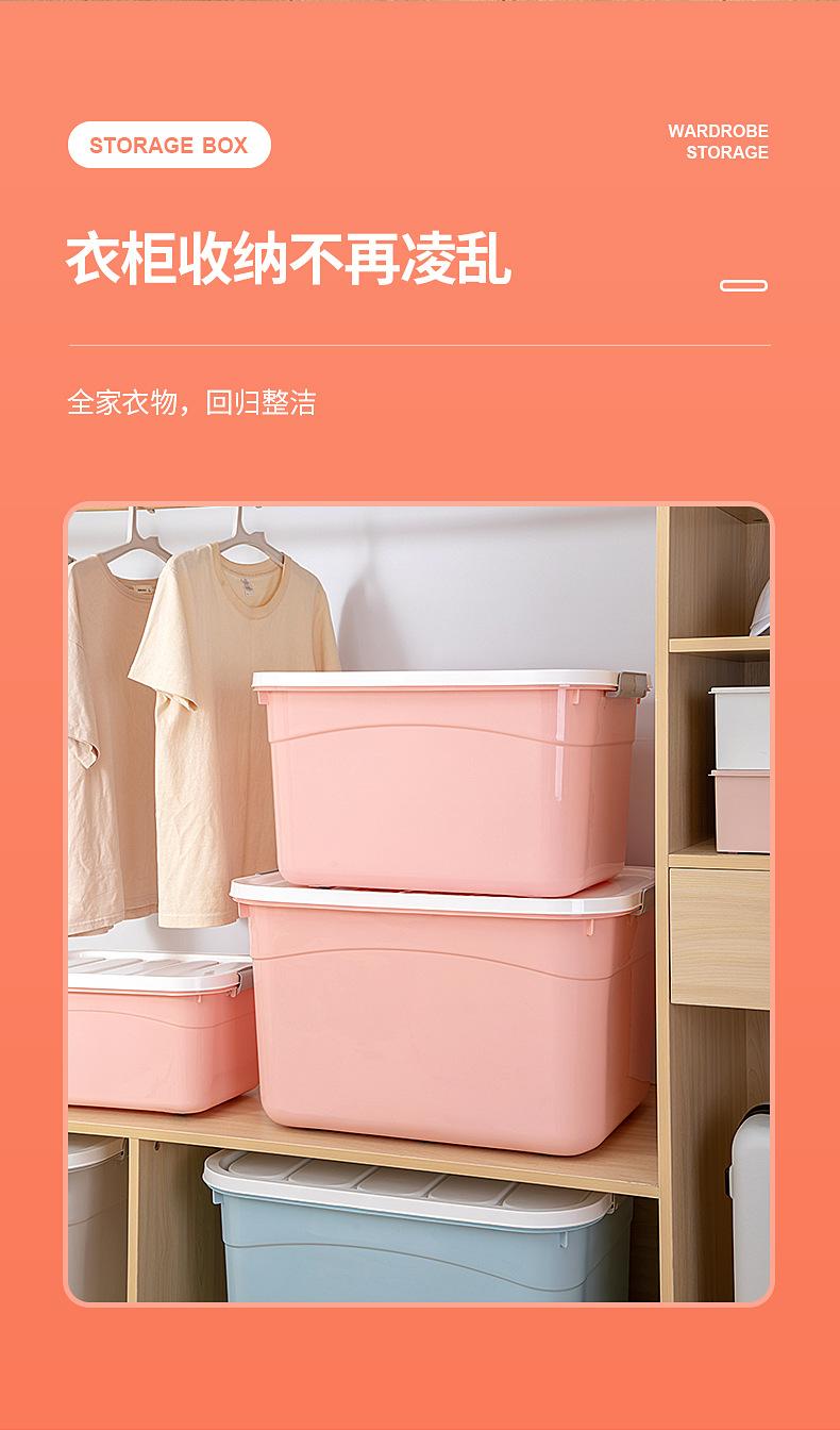 790_10.jpg