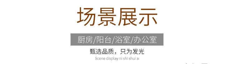 明装面板灯_15.jpg