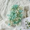 [Caja de Almuerzo Anna de 5g] Grado a Hoja Pequeña Color Degradado Flor Eterna Anna Hortensia Paquete de Materiales Hechos a Mano DIY