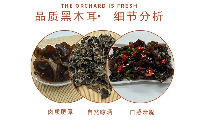 黑木耳_03.jpg